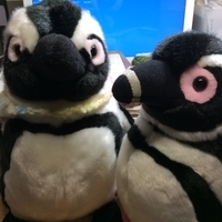 f:id:e_pyonpyon21:20190720135054j:plain f:id:e_pyonpyon21:20190720135054j:plain