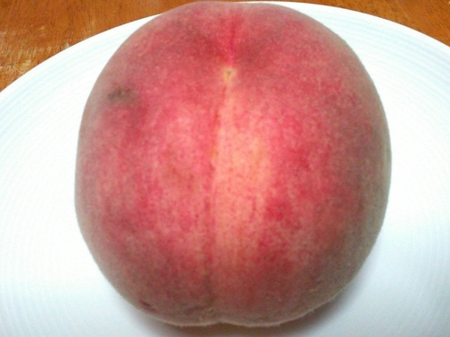 f:id:e_pyonpyon21:20200725191128j:plain f:id:e_pyonpyon21:20200725191128j:plain