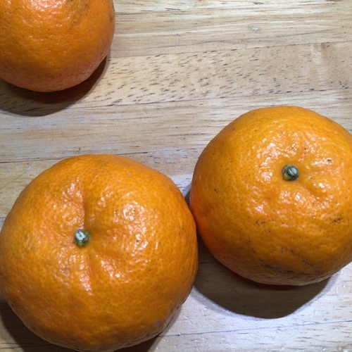 f:id:e_pyonpyon21:20220219104328j:plain