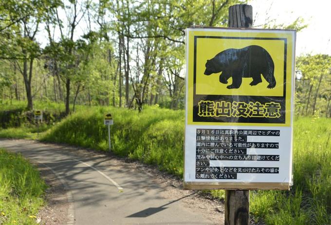 札幌 ヒグマ駆除のニュースについての話 ハロキタ 北国からこんにちは