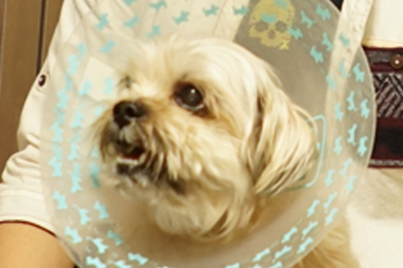 f:id:eaidem:20160712163045j:plain