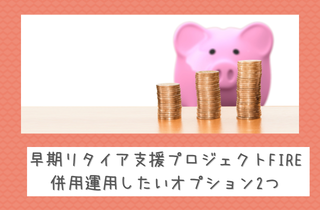 併用運用したいオプション2つと書かれた画像