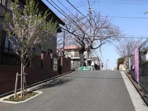 f:id:early_bird68:20190327093408j:plain f:id:early_bird68:20190327093408j:plain