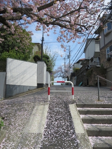 f:id:early_bird68:20190408133730j:plain f:id:early_bird68:20190408133730j:plain