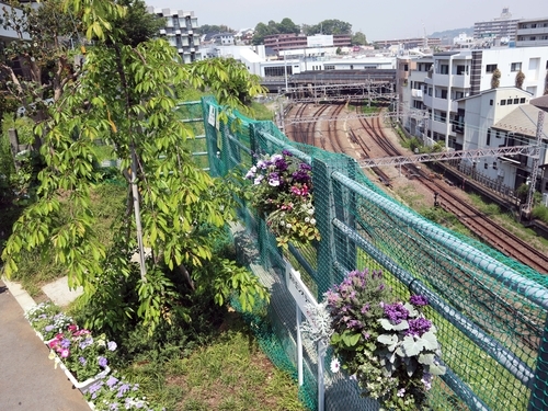 f:id:early_bird68:20190511104155j:plain