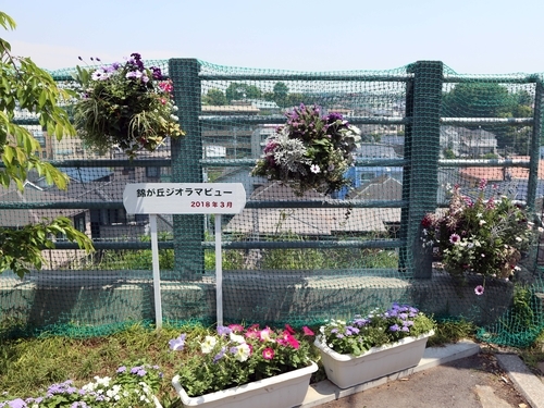 f:id:early_bird68:20190511105240j:plain