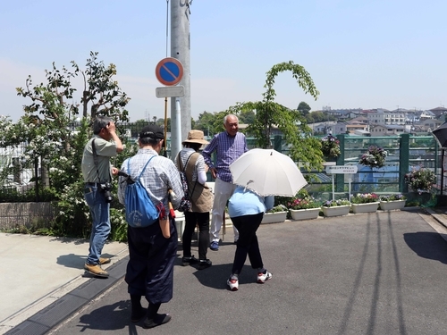 f:id:early_bird68:20190511105453j:plain