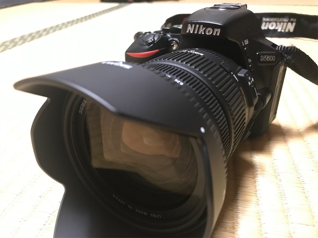 f:id:earth429:20190131235128j:image
