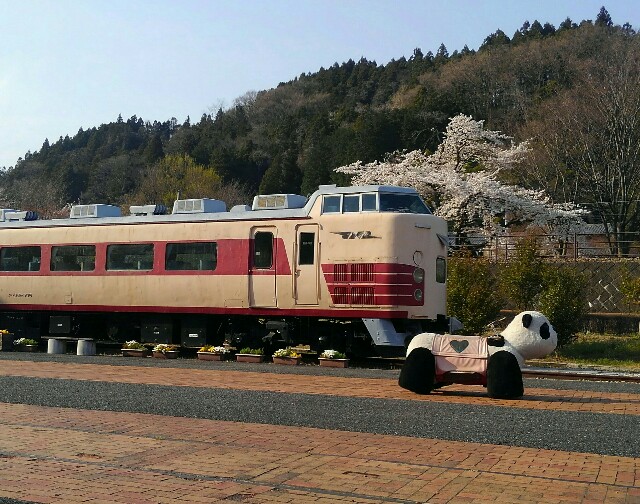 碓氷峠　ラックレール　アプト式　ED42 EF63 アプト式電気機関車が模擬走行 旧国鉄信越線のED42 群馬 | 毎日新聞