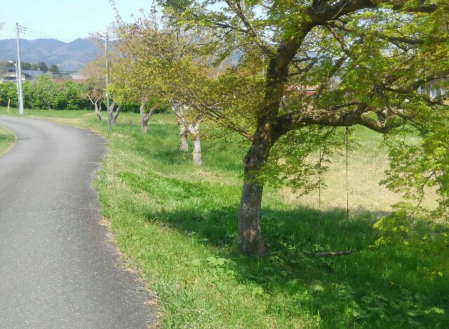 f:id:earth720105:20200415205308j:image f:id:earth720105:20200415205308j:image