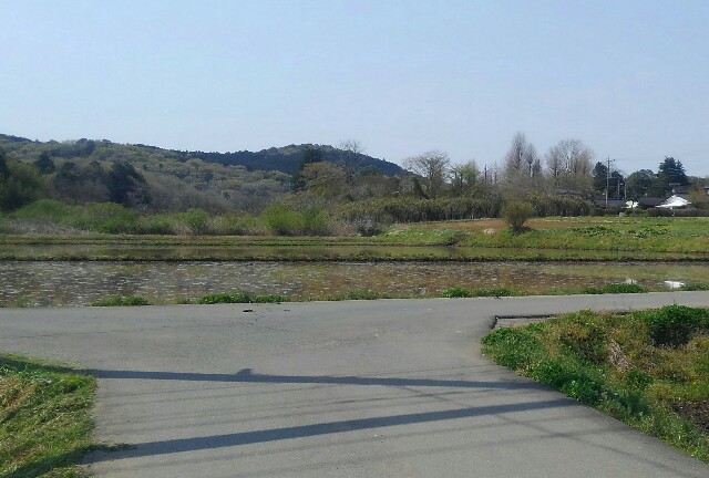 f:id:earth720105:20200419080203j:image f:id:earth720105:20200419080203j:image