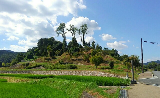f:id:earth720105:20200817085818j:image f:id:earth720105:20200817085818j:image