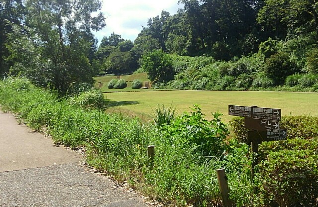 f:id:earth720105:20200817100217j:image f:id:earth720105:20200817100217j:image