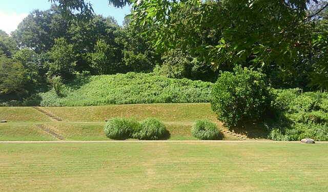 f:id:earth720105:20200817100242j:image f:id:earth720105:20200817100242j:image