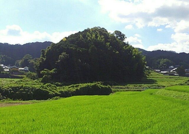 f:id:earth720105:20200817143142j:image f:id:earth720105:20200817143142j:image