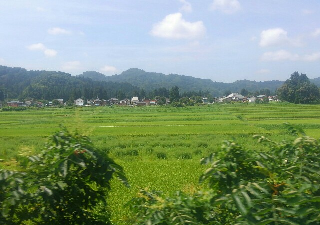 f:id:earth720105:20200823165107j:image