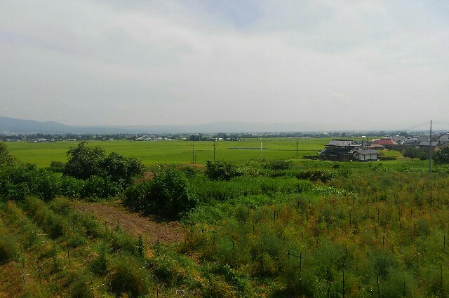 f:id:earth720105:20200823180154j:image
