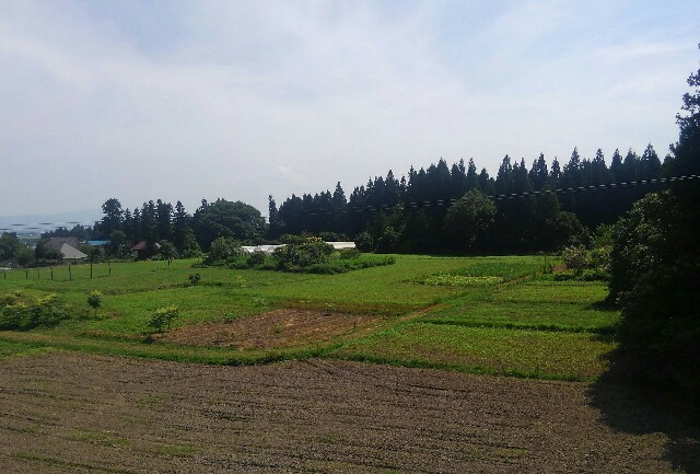 f:id:earth720105:20200823180207j:image