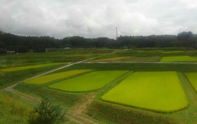 f:id:earth720105:20200910170631j:image