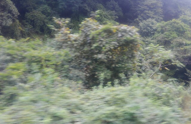 f:id:earth720105:20200910170723j:image