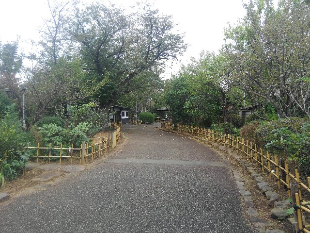 f:id:earth720105:20201018202516j:image