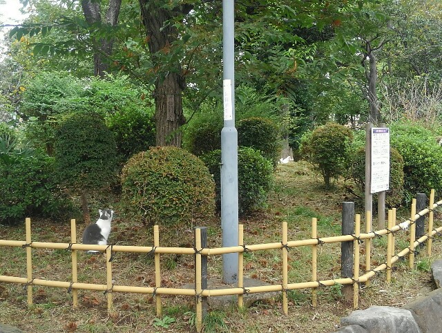 f:id:earth720105:20201018203345j:image