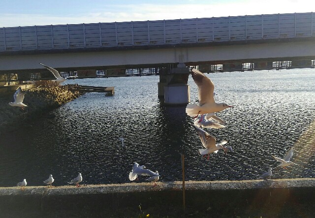f:id:earth720105:20201227041710j:image f:id:earth720105:20201227041710j:image