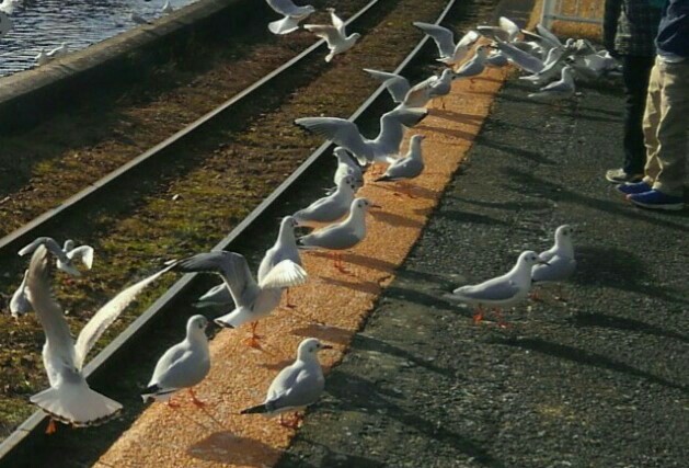 f:id:earth720105:20210105185433j:image f:id:earth720105:20210105185433j:image