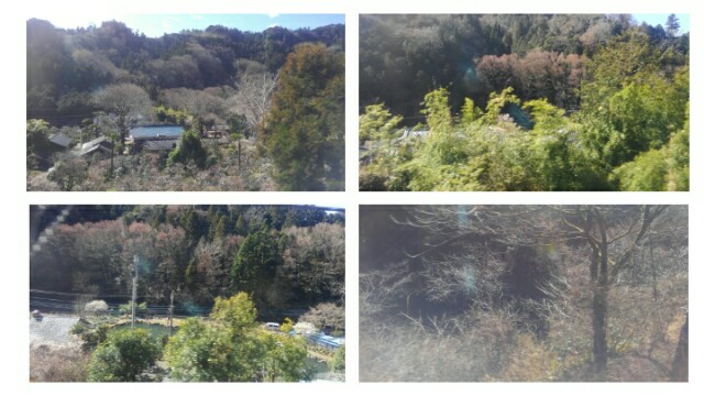 f:id:earth720105:20210314144347j:image