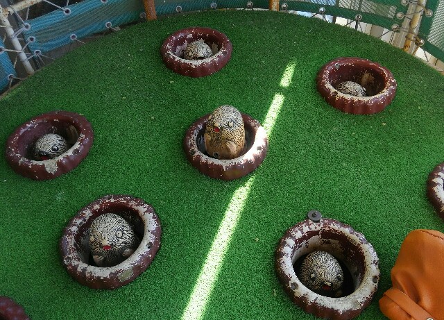 f:id:earth720105:20210314155533j:image