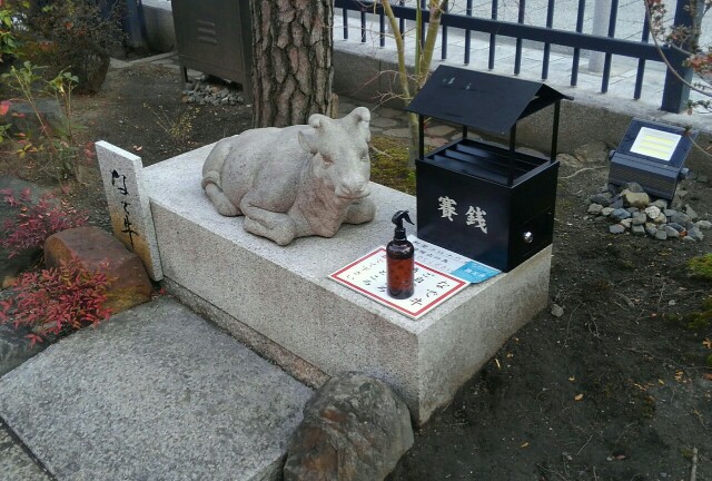 f:id:earth720105:20220104185047j:image