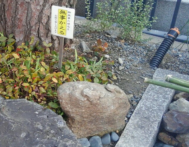 f:id:earth720105:20220104185252j:image