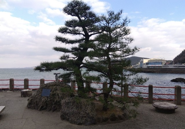 f:id:earth720105:20230109180318j:image f:id:earth720105:20230109180318j:image