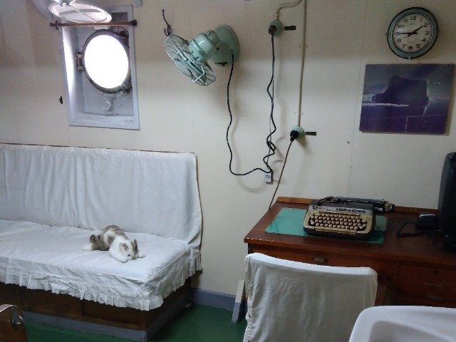 f:id:earth720105:20230506010657j:image f:id:earth720105:20230506010657j:image