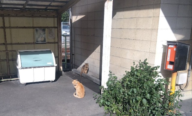 f:id:earth720105:20240215011420j:image