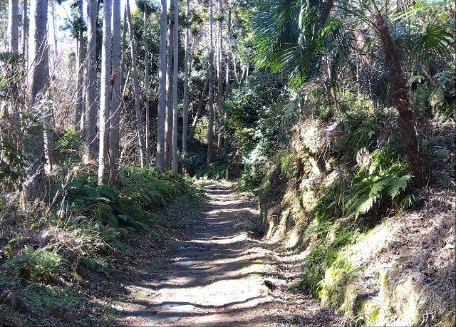 f:id:earth720105:20240228163738j:image