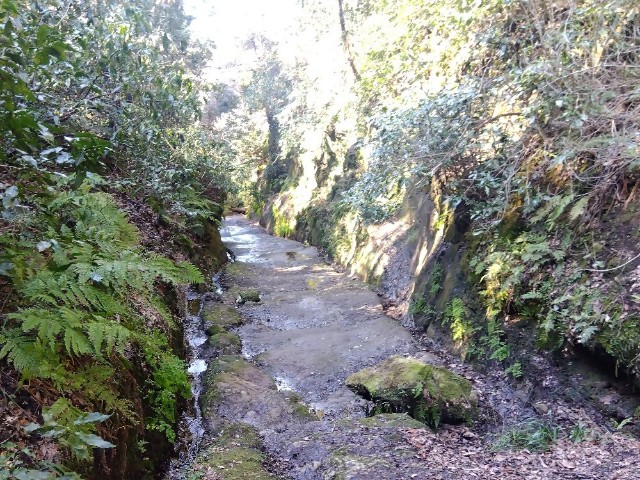 f:id:earth720105:20240228164254j:image