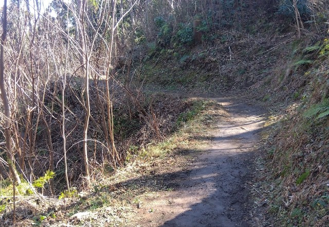 f:id:earth720105:20240228214731j:image