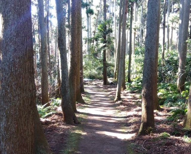 f:id:earth720105:20240228215417j:image