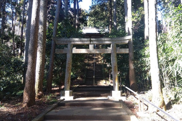 f:id:earth720105:20240228215442j:image