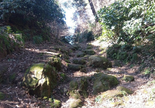 f:id:earth720105:20240228215759j:image