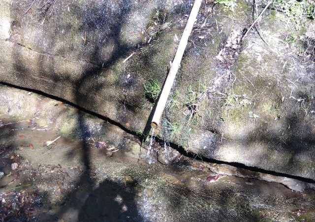 f:id:earth720105:20240228231030j:image