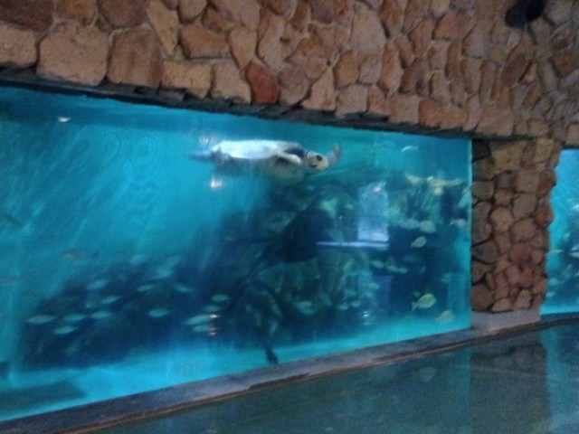 f:id:earth720105:20240514025259j:image