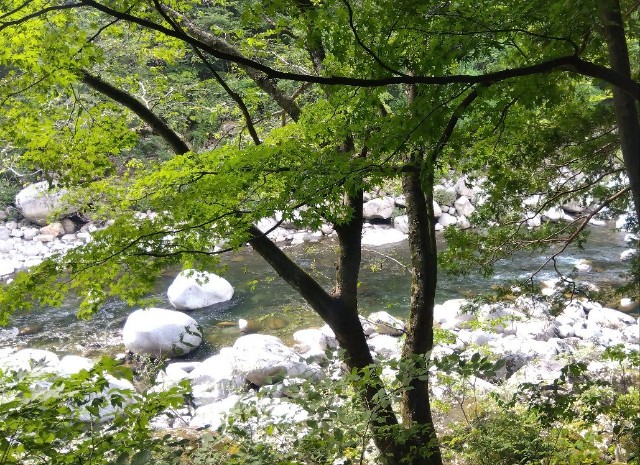 f:id:earth720105:20240814100632j:image