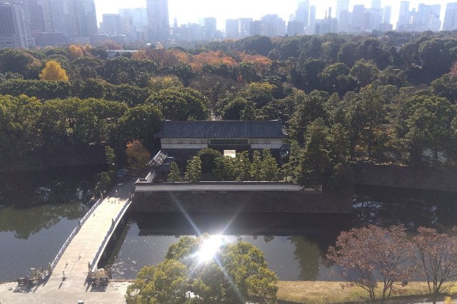 f:id:earth720105:20241211135346j:image