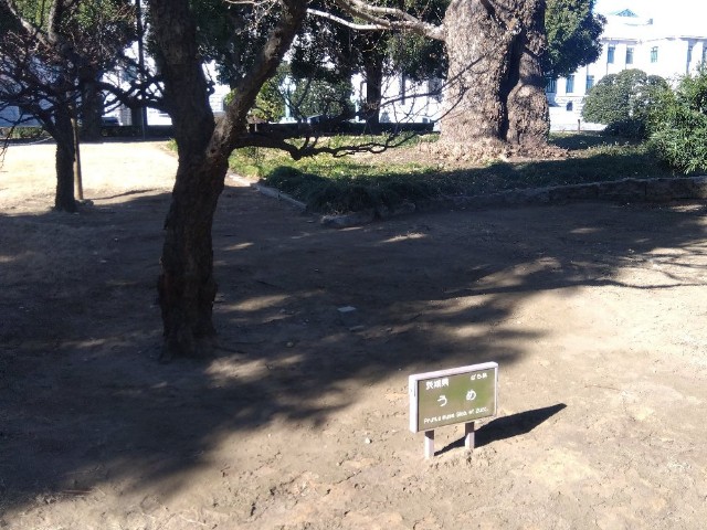 f:id:earth720105:20250131225011j:image