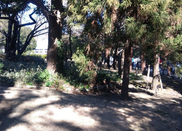 f:id:earth720105:20250201034910j:image