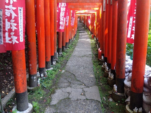 f:id:earth720105:20250502162534j:image