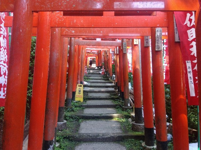 f:id:earth720105:20250502162612j:image