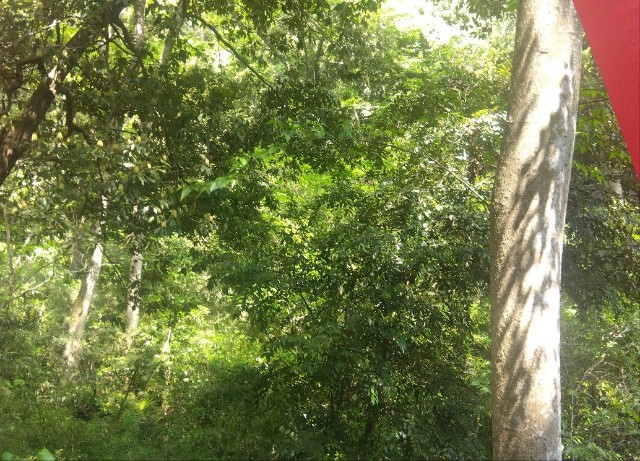 f:id:earth720105:20250502164149j:image